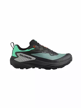 SALOMON | Herren Traillaufschuhe Genesis GTX | 